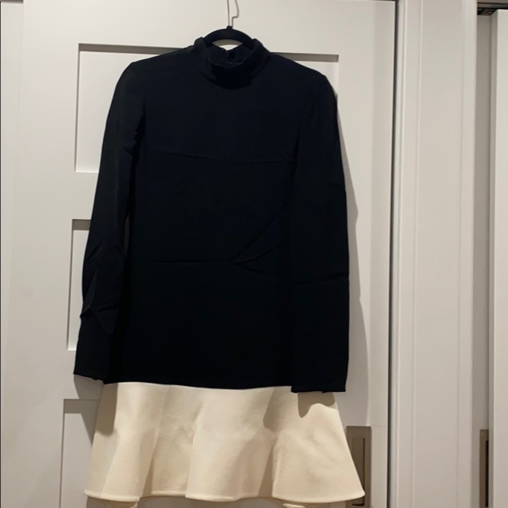 Black and white dress. Long sleeves with zippers.